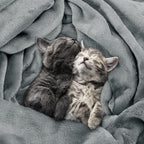 Utopia Bedding Soft Fleece Bed Blanket Twin Size Ash Grey | Microfiber Plush - Image 4