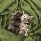Utopia Bedding Ultra Soft Fleece Bed Blanket Queen Size Olive | Microfiber - Image 4