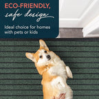 ubdyo Extra Durable Door Mat Outside Entrance | Dirt Trapping, Non-Slip Backing - Image 8